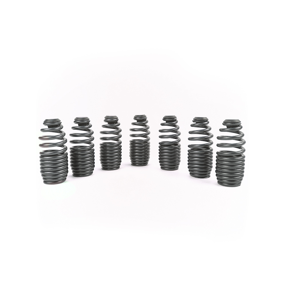 Loss motion spring